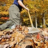 Leaf Compost Site Closes Soon