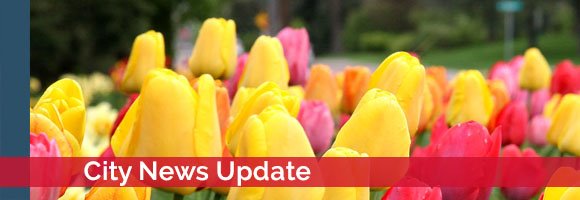 City News update