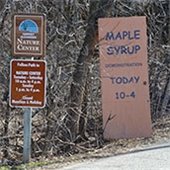 Maple Syruping