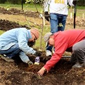 Help Maintain Roseville Parks