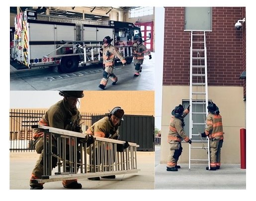 ladder training