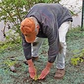 Natural Resources Renewal