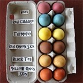 Natural Egg Dyeing