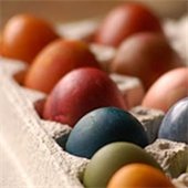 Egg Dying