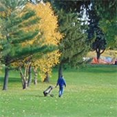 Fall Golfing at Cedarholm