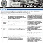 Online Police Reports