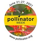 Pollinator Week