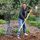 Help our Gardens Grow