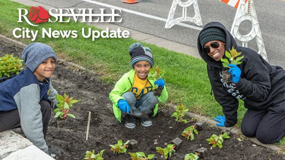 Three Roseville volunteers plant flowers along Lexington Blvd.