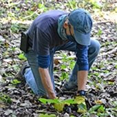 Natural Resources Renewal