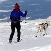 New Year’s Resolution Challenge