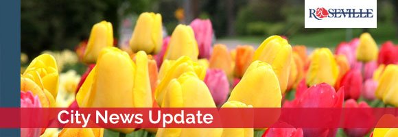 City News Update