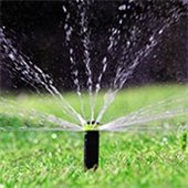 Watering restrictions