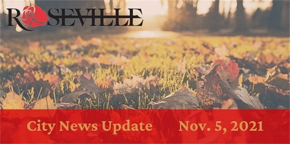 City News Update, November 5, 2021.  Fallen leaves in a meadow.