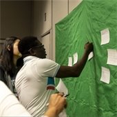 Community Advisory Group members work on exercises for Envision Roseville.