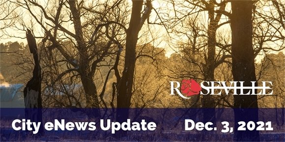 City eNews Update, December 3, 2021.  Birch trees in late autumn.