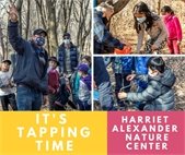 Tapping time - Saturday and Sunday