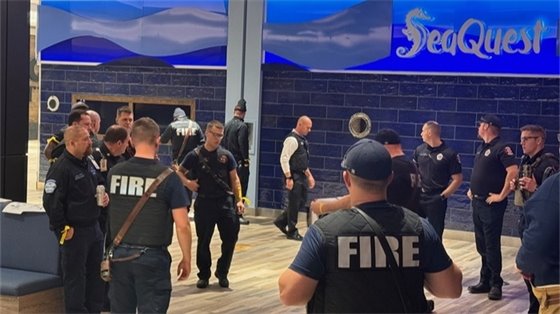 Rosedale Active Shooter Training