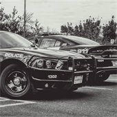 Roseville Police squad cars.