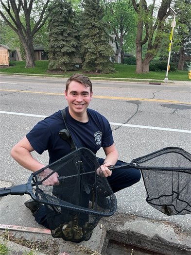 Colvin and the ducks