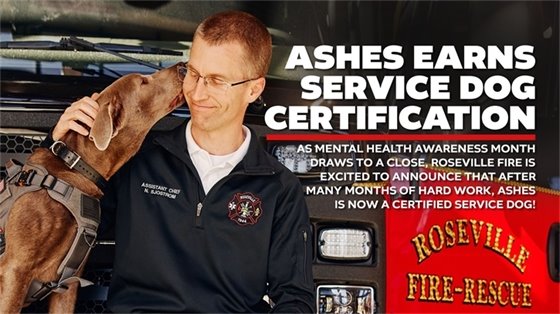 Ashes certified
