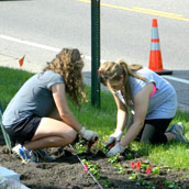 Planting Volunteers