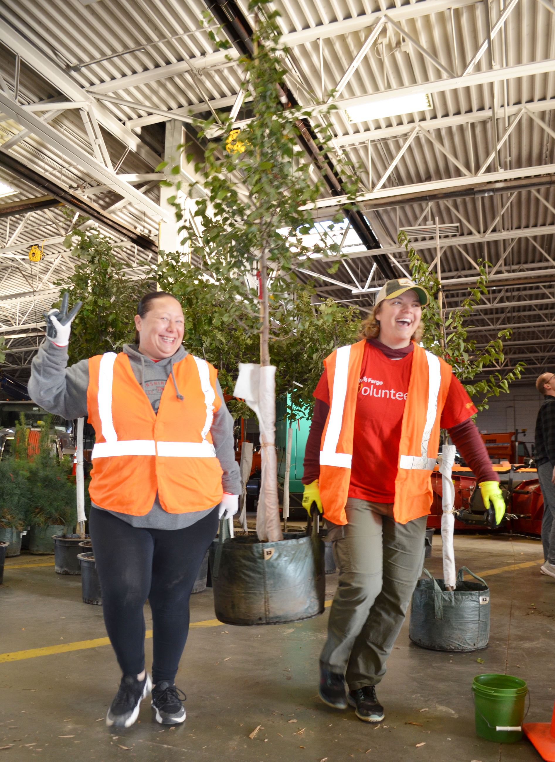 Tree sale with Tree Trust