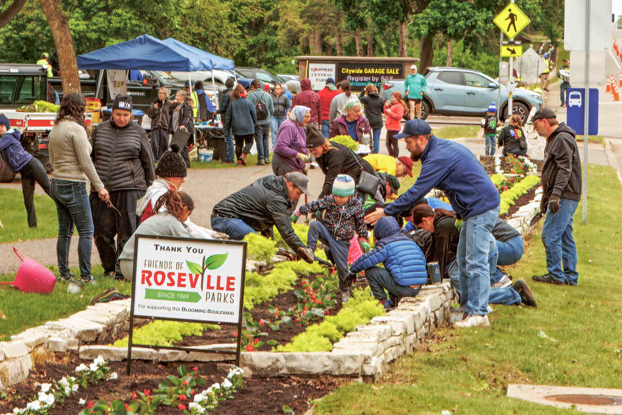 Volunteers help plant flowers at Roseville's \